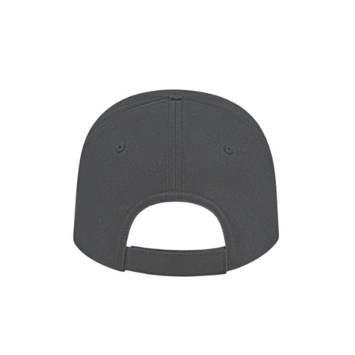 Power City Bruins Structured Cap