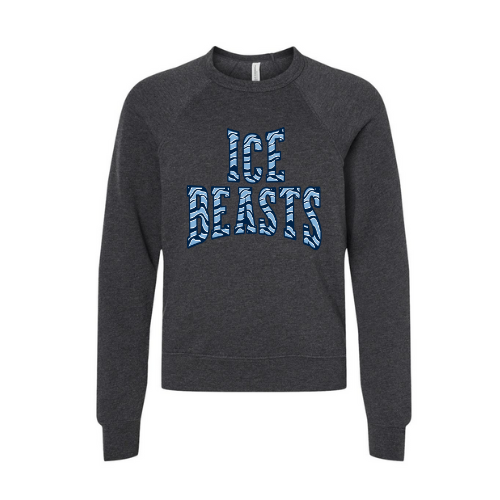 Beasts Striped Print Youth Sweatshirt