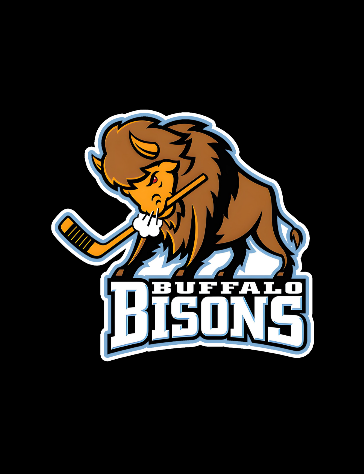 Buffalo Bisons Playoff/States
