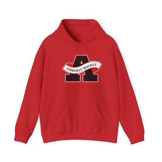 Youth Hooded Sweatshirt