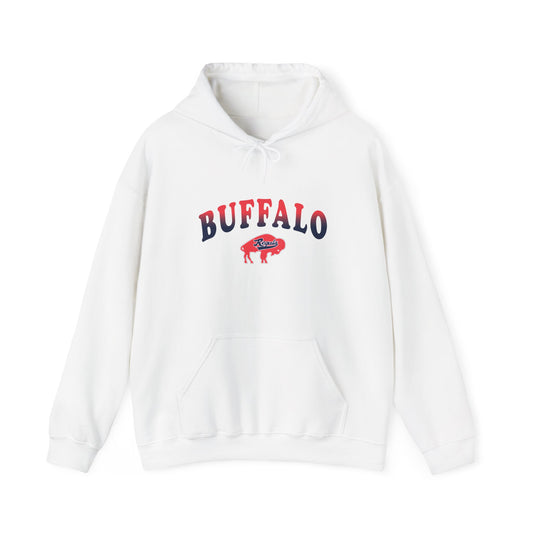 Regals Buffalo Gradient Youth Hooded Sweatshirt