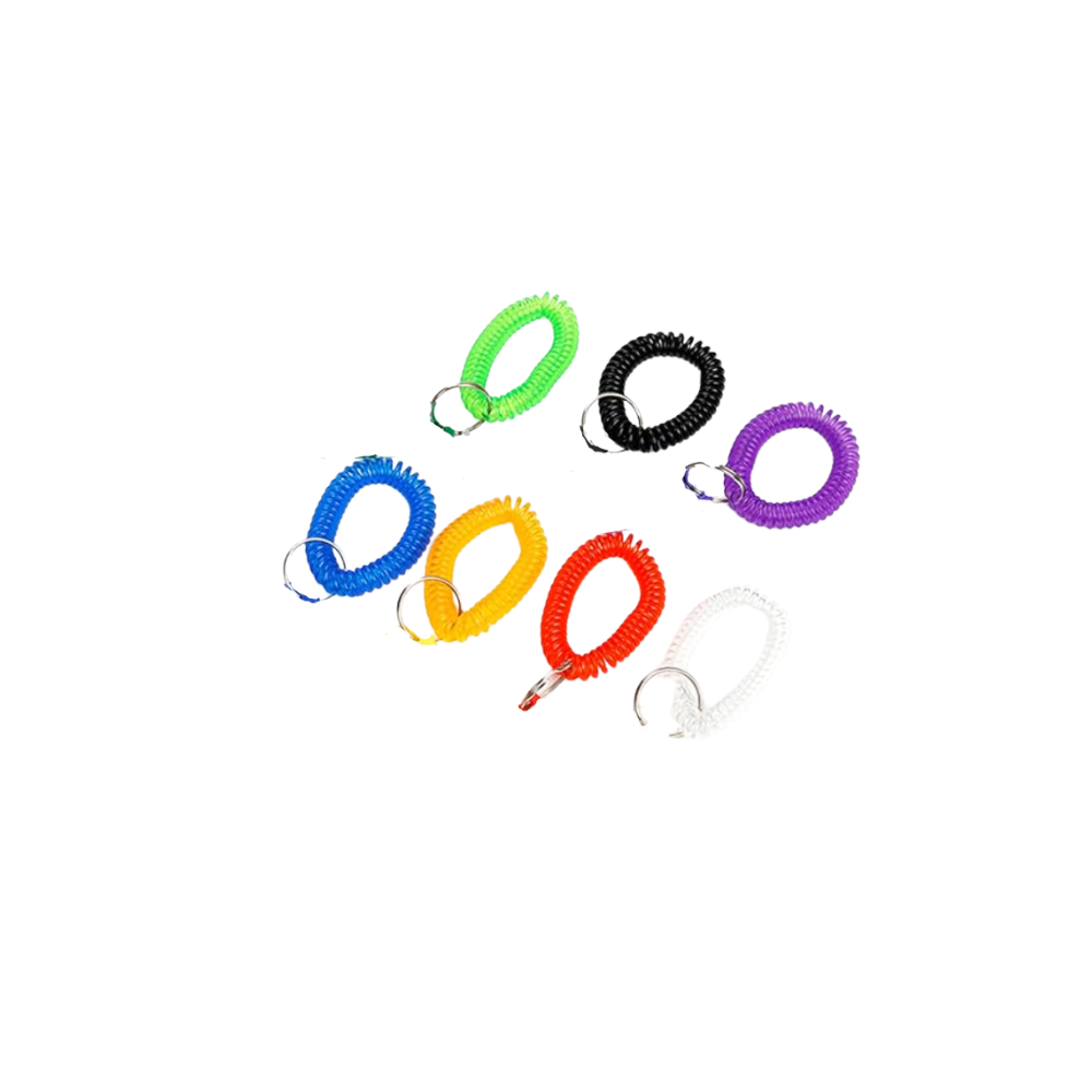 Power City Bruins  Hotel Room Key Holder